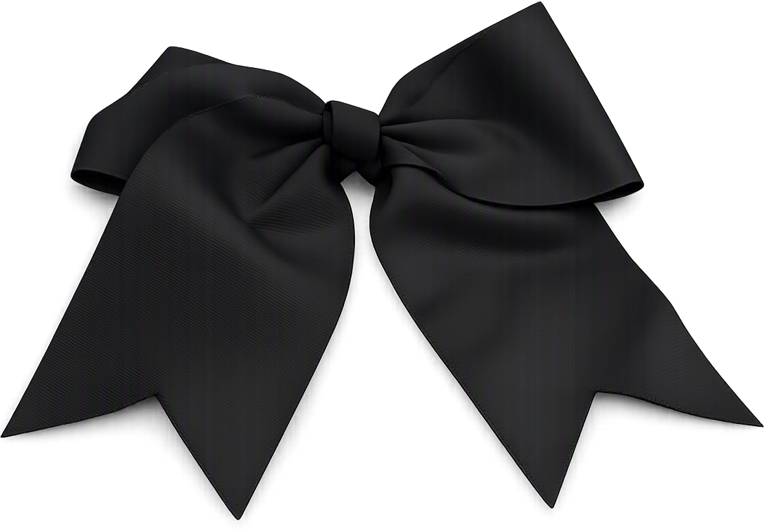 Product color photo - BlackBow ccae384c-9e33-4c10-a18f-53b283bbbc79