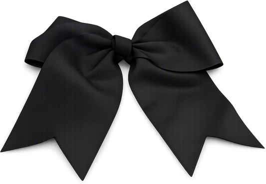 Product color photo - BlackBow ccae384c-9e33-4c10-a18f-53b283bbbc79