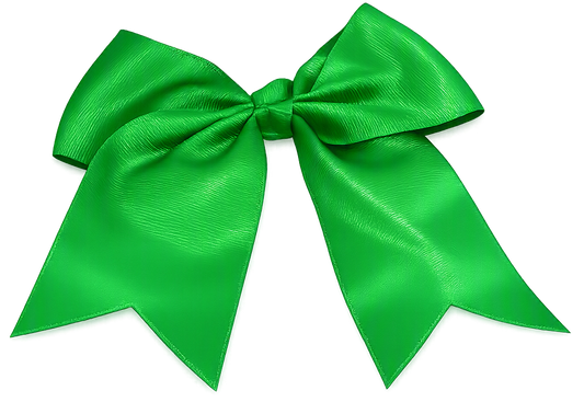 Edgemont Elementary School Bow
