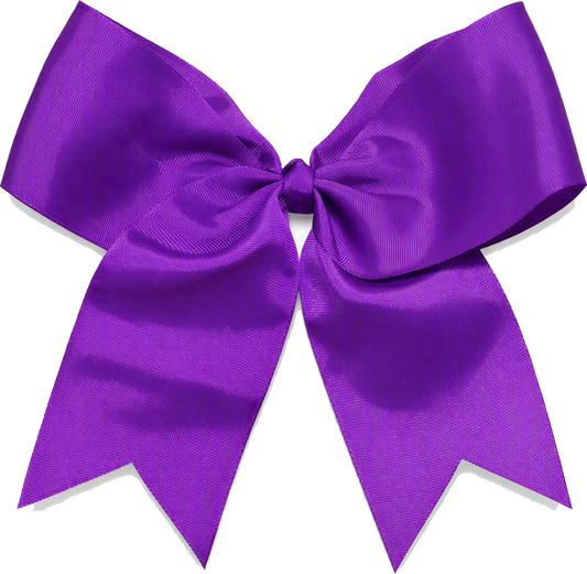 Seneca Elementary School Bows