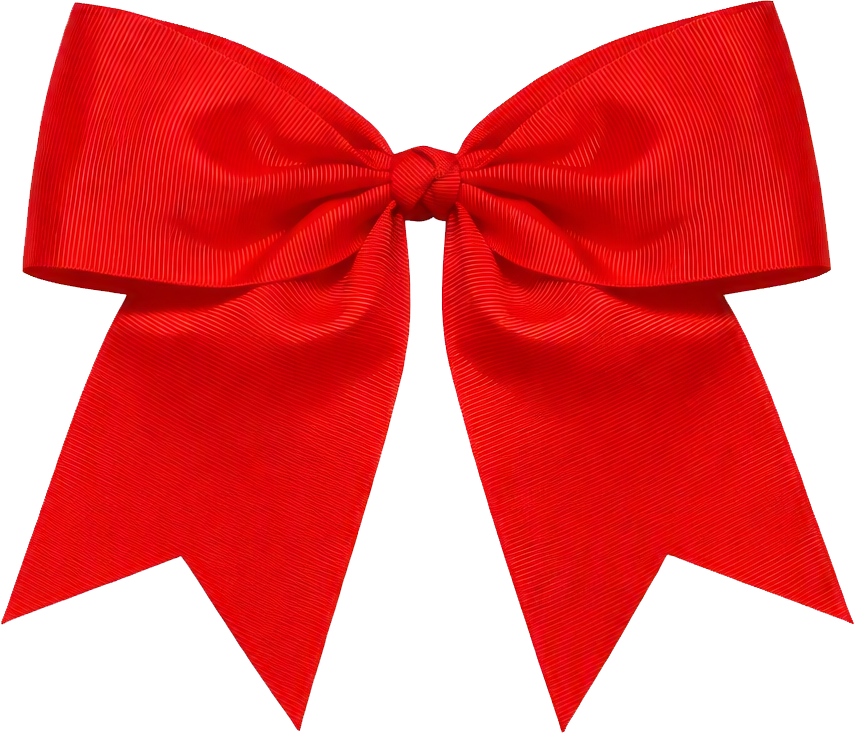Honey Hollow Elementary School Bows
