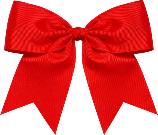 Honey Hollow Elementary School Bows