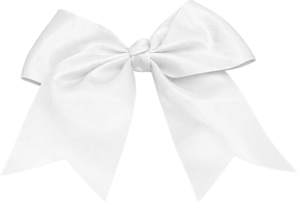 Honey Hollow Elementary School Bows