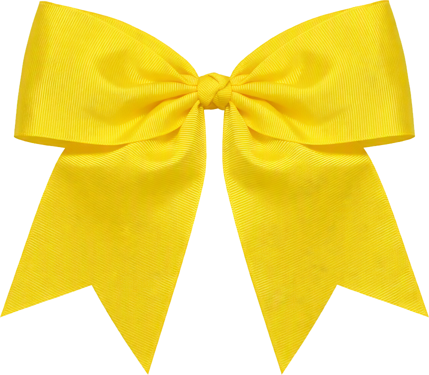 Box Springs Elementary School Bow