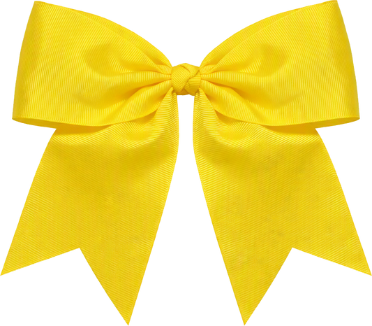 Box Springs Elementary School Bow
